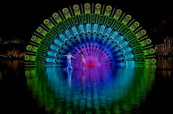 最憶是杭州，更美在偉才——偉才教育驚艷浙江杭州