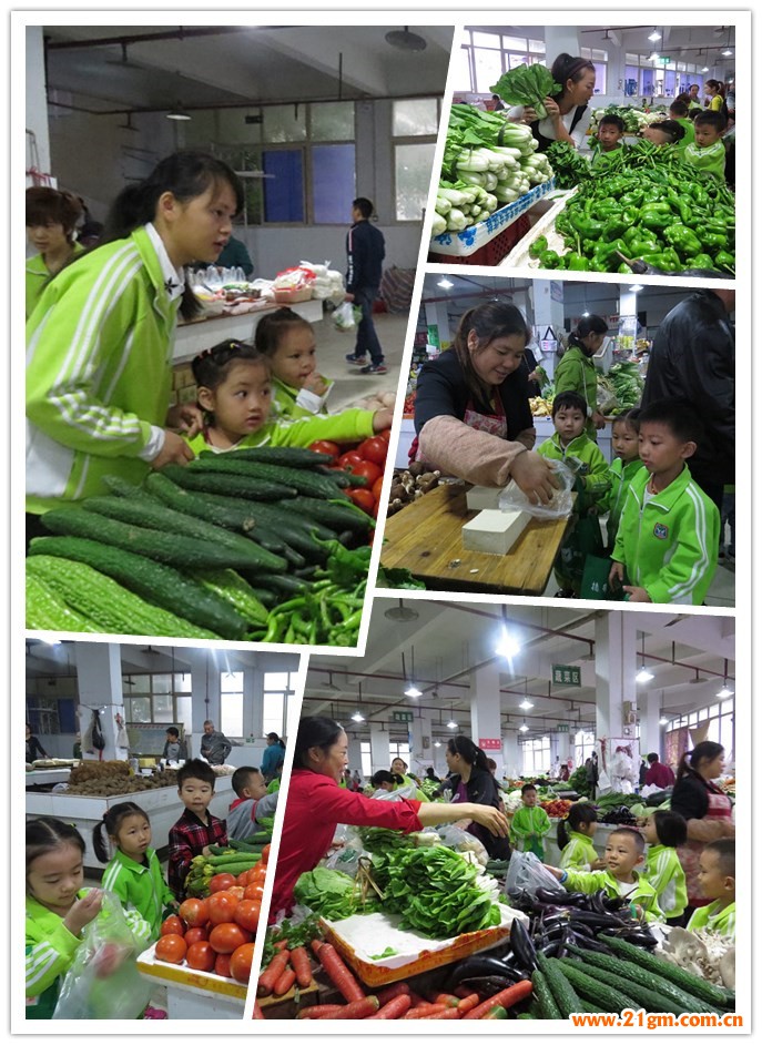 我們到農貿市場購物去!——重慶武隆偉才幼兒園大班幼兒社會實踐活動