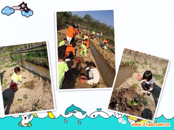 體驗農莊生活——記廣東東莞市寮步偉才幼兒園親子社會實踐活動