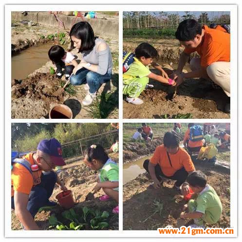 體驗農莊生活——記廣東東莞市寮步偉才幼兒園親子社會實踐活動