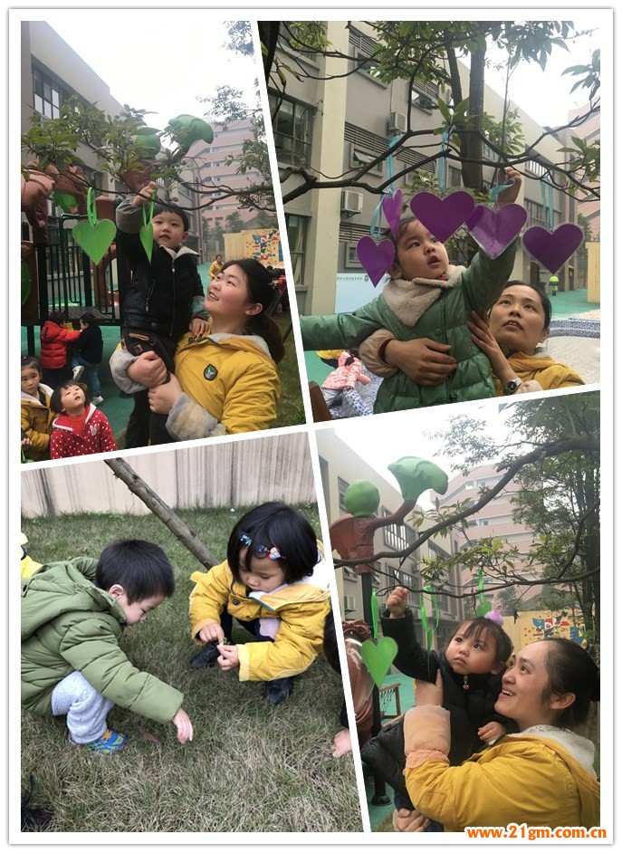 重慶大渡口區偉才幼兒園：愛護小樹苗，我和小樹一起成長