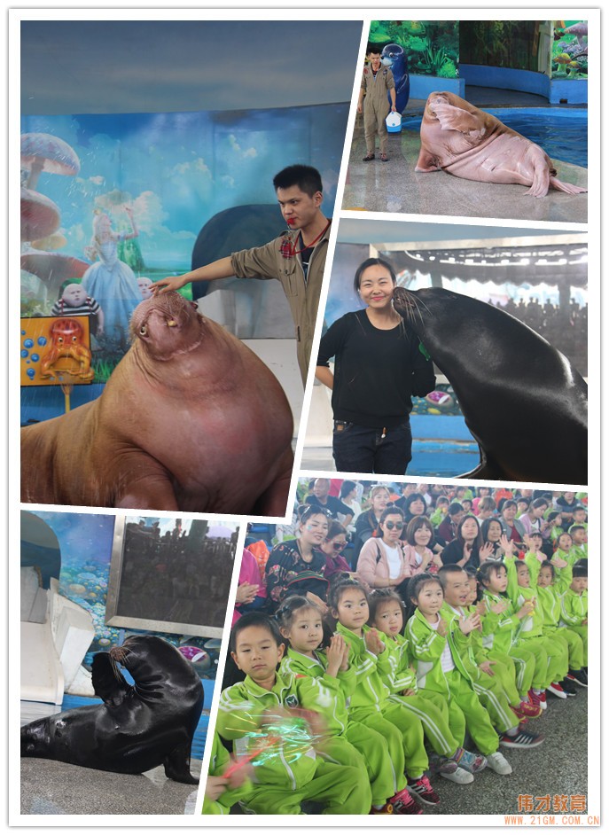 湖北仙桃和合偉才幼兒園:偉才生態主題課程之“遨游海洋世界•探索自然奧秘”