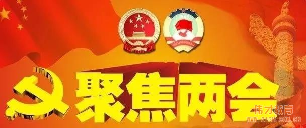外行看熱鬧,內行看門道丨關于「兩會」,偉才教育看什么?