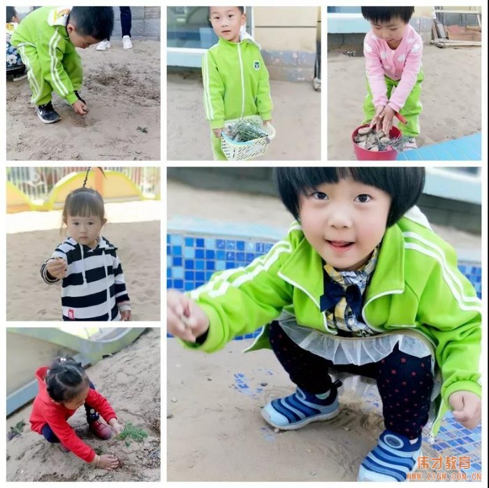 偉才寶貝的五一，用實(shí)際行動(dòng)致敬勞動(dòng)者！