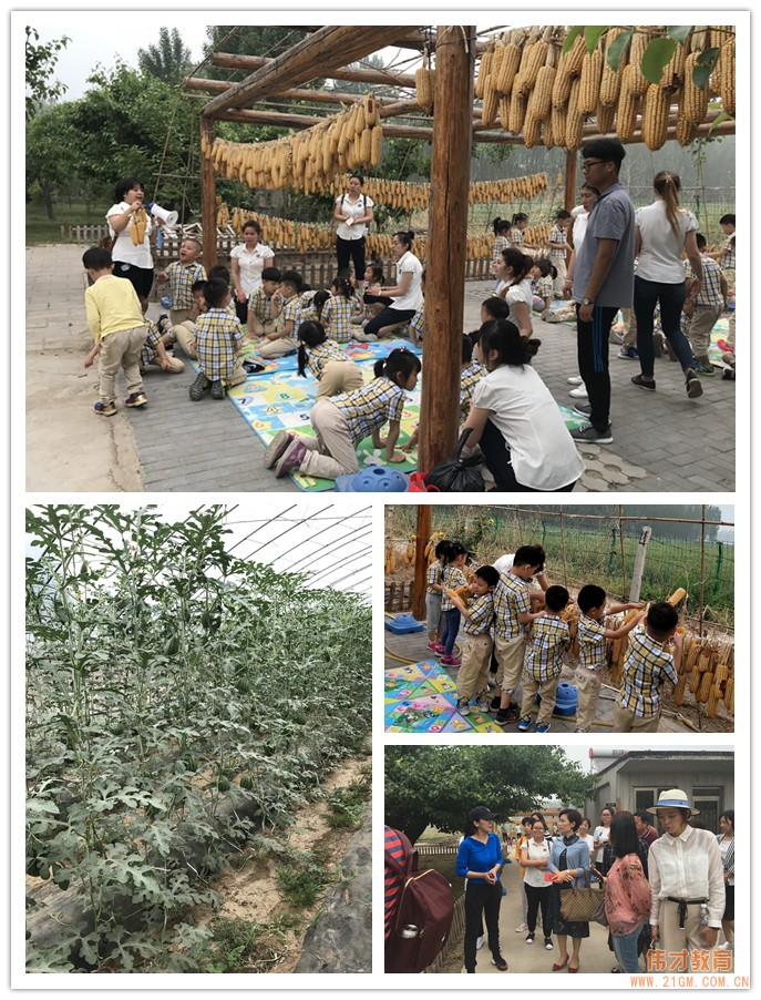 意義非凡的培訓(xùn)——2018年偉才體系幼教新趨勢與危機處理培訓(xùn)報道