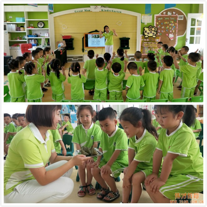 湖北仙桃和合偉才幼兒園端午節活動
