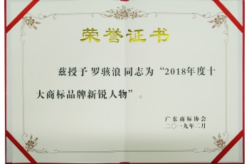 偉才教育董事長羅駭浪榮獲“2018年度十大商標品牌新銳人物”