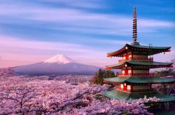 偉才環保主題日本親子游學團，一起出發吧！