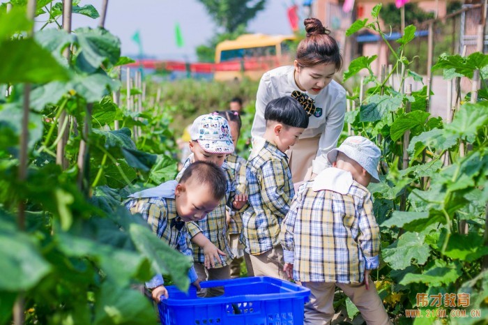 高山明珠再添彩——偉才教育走進福建周寧