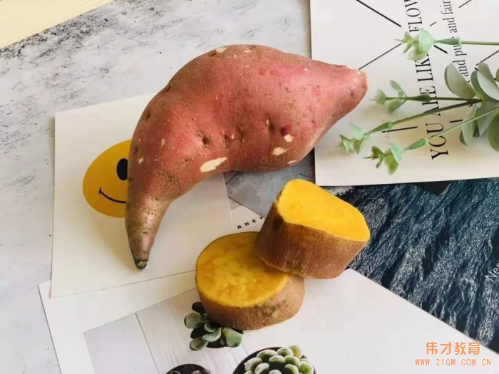 平頂山藍灣翠園偉才幼兒園生態大課堂:耕道田園,探索秋天的奧秘