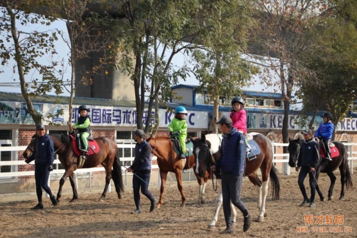 遼寧大連偉才幼兒園:馬術課