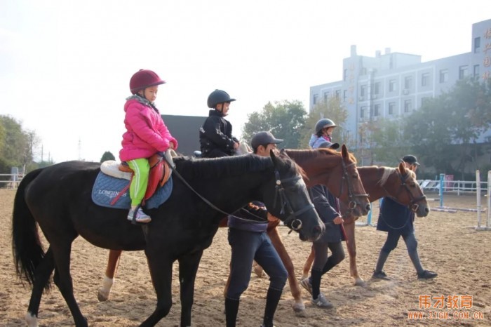 遼寧大連偉才幼兒園:馬術課