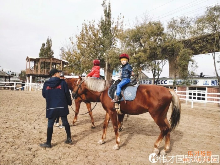 遼寧大連偉才幼兒園:馬術課
