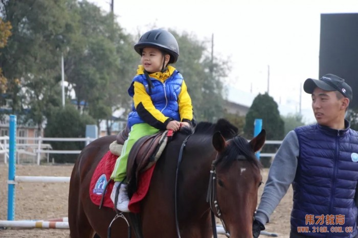 遼寧大連偉才幼兒園:馬術課