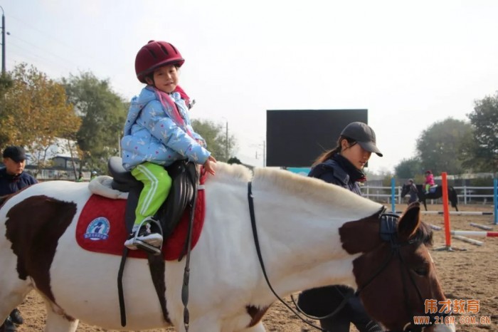 遼寧大連偉才幼兒園:馬術課