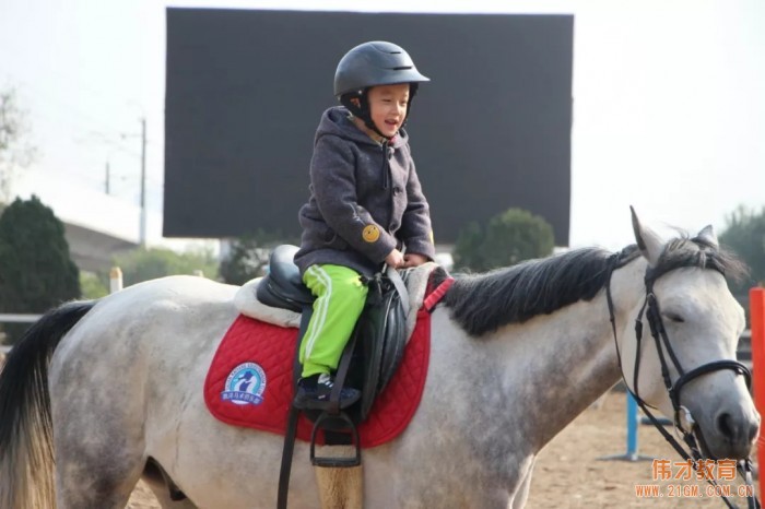 遼寧大連偉才幼兒園:馬術課