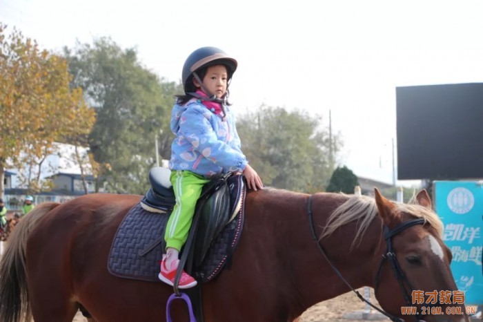 遼寧大連偉才幼兒園:馬術課