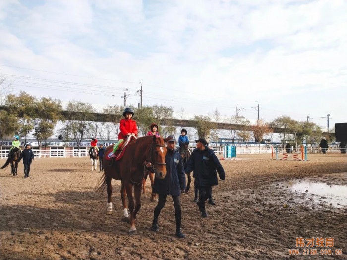 遼寧大連偉才幼兒園:馬術課