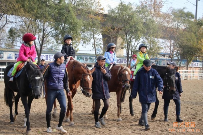 遼寧大連偉才幼兒園:馬術課