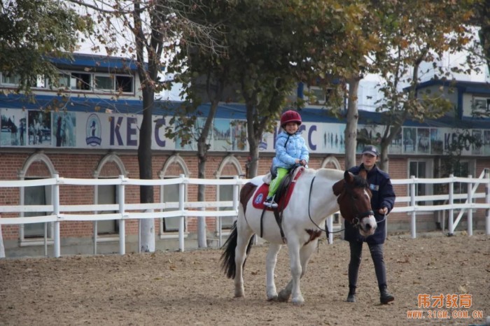 遼寧大連偉才幼兒園:馬術課