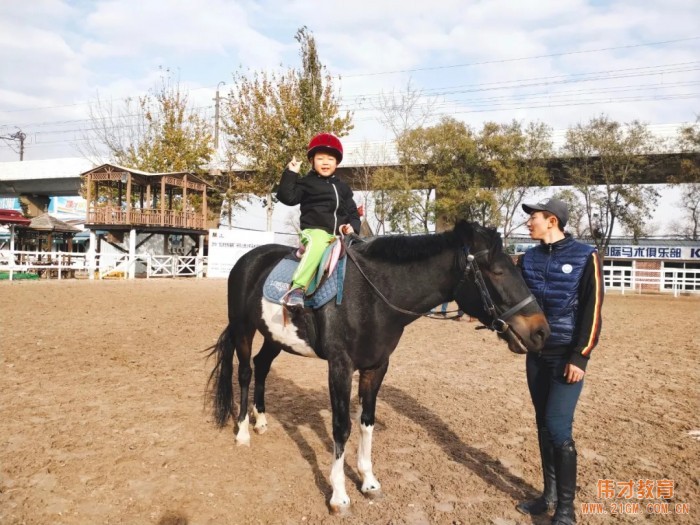 遼寧大連偉才幼兒園:馬術課