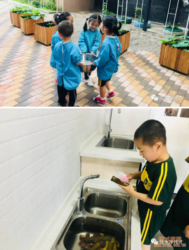 甘肅天水佳水岸偉才幼兒園端午節活動登上中國教育報!