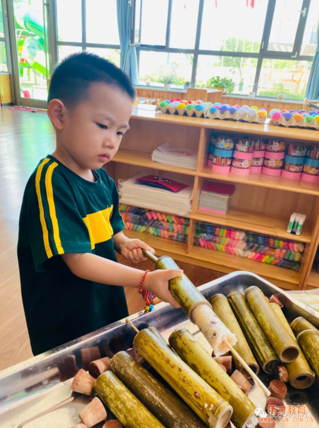 甘肅天水佳水岸偉才幼兒園端午節活動登上中國教育報!