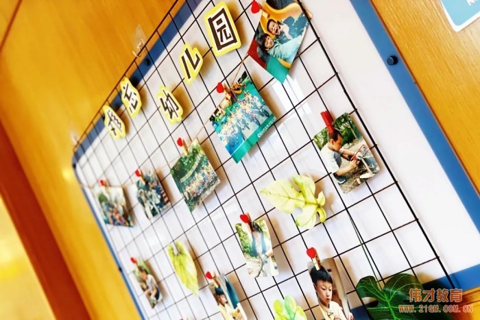 浙江杭州西溪偉才幼兒園:再見,森林小時光