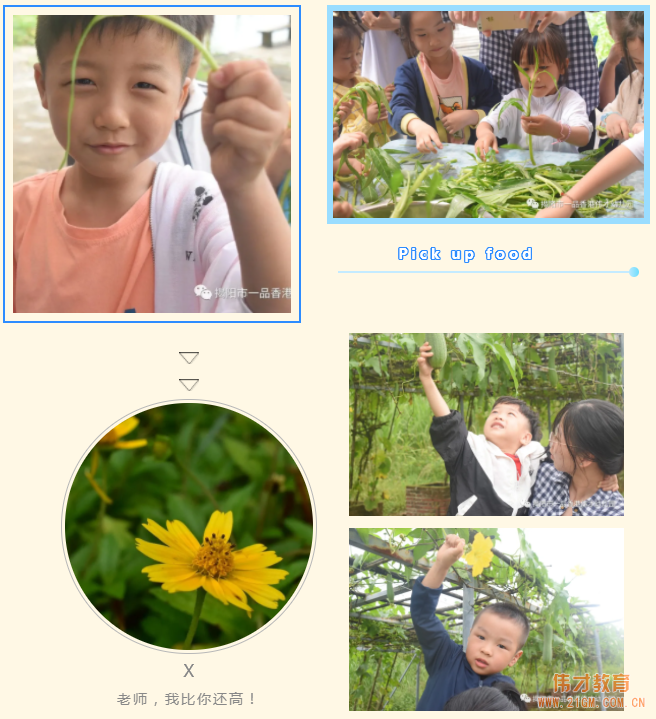 “玩”轉(zhuǎn)盛夏,“暑”你精彩——廣東揭陽偉才幼兒園游學(xué)記