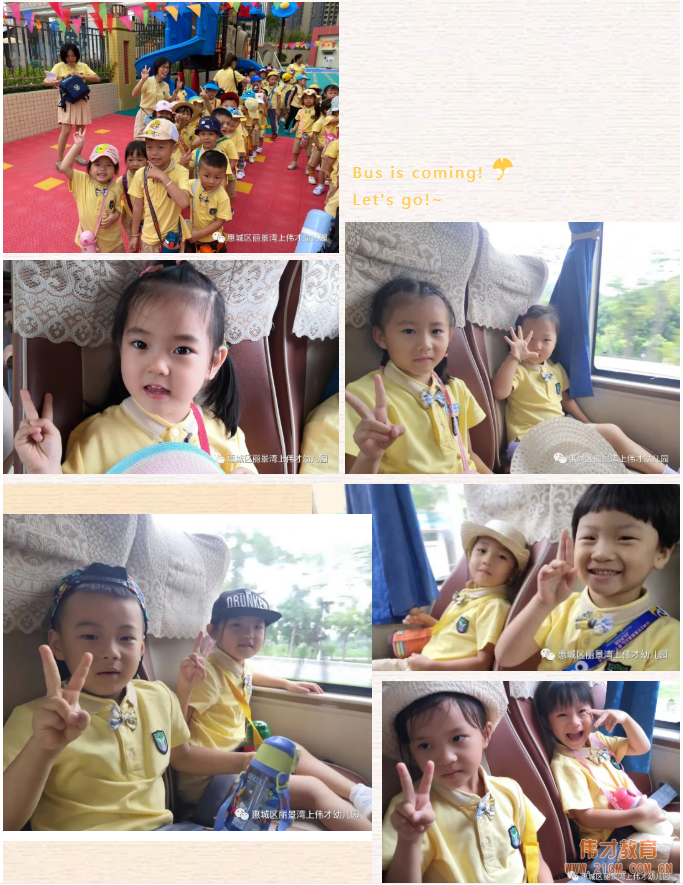 走進綠野深處 邂逅秋日美好時光——廣東惠州麗景灣上偉才幼兒園社會大課堂