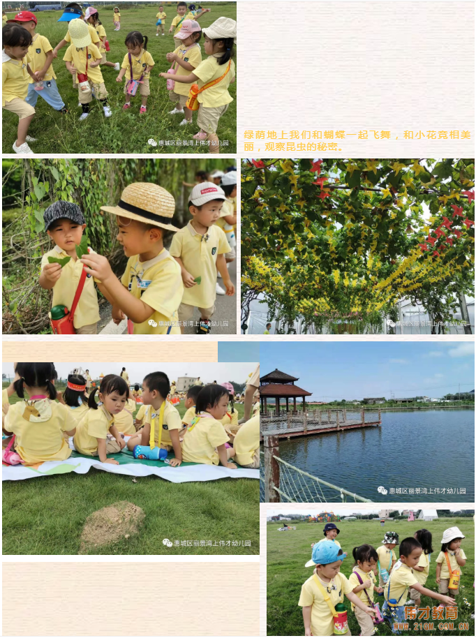 走進綠野深處 邂逅秋日美好時光——廣東惠州麗景灣上偉才幼兒園社會大課堂
