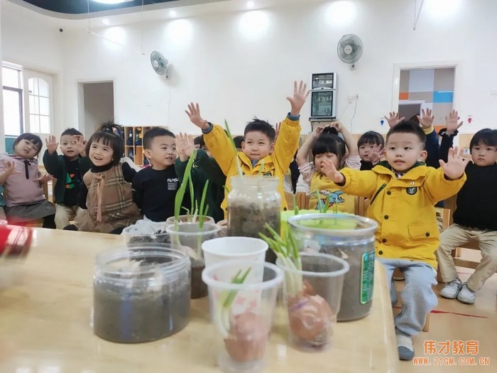 偉才生態課程：秋收冬藏，生根發芽丨廣東普寧市偉才幼兒園