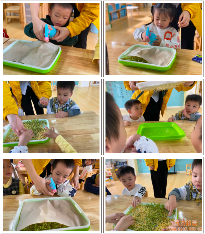 偉才生態課程：秋收冬藏，生根發芽丨廣東普寧市偉才幼兒園