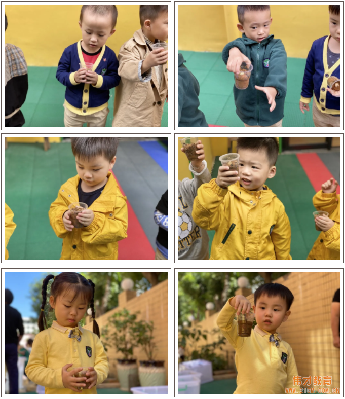 偉才生態課程：秋收冬藏，生根發芽丨廣東普寧市偉才幼兒園