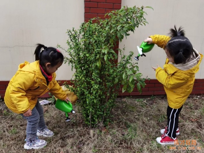 春風十里,正“植”有你——江蘇蘇州雀梅偉才幼兒園植樹節(jié)活動