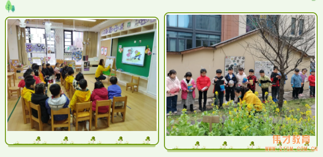 春風十里,正“植”有你——江蘇蘇州雀梅偉才幼兒園植樹節(jié)活動