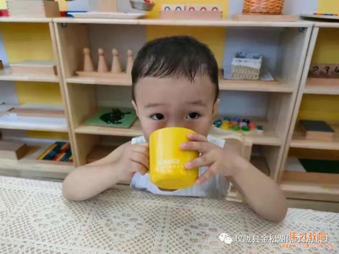 偉才園所丨“暑”你精彩,四川儀隴金松湖偉才幼兒園快樂暑假班